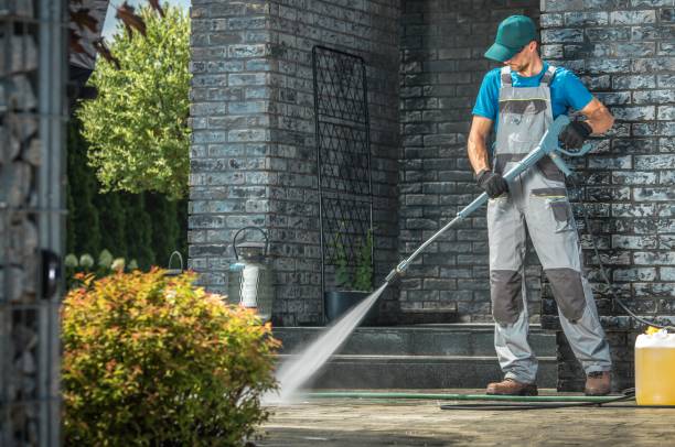 Best Roof Washing  in Oak Harbor, WA